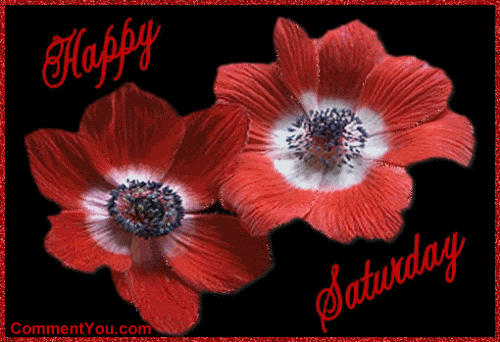 saturday5.gif